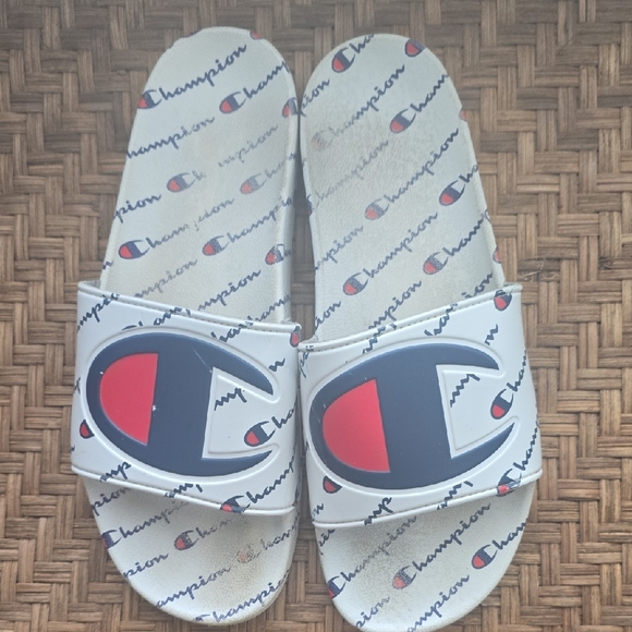 Champion Slides - Picture 1 of 5